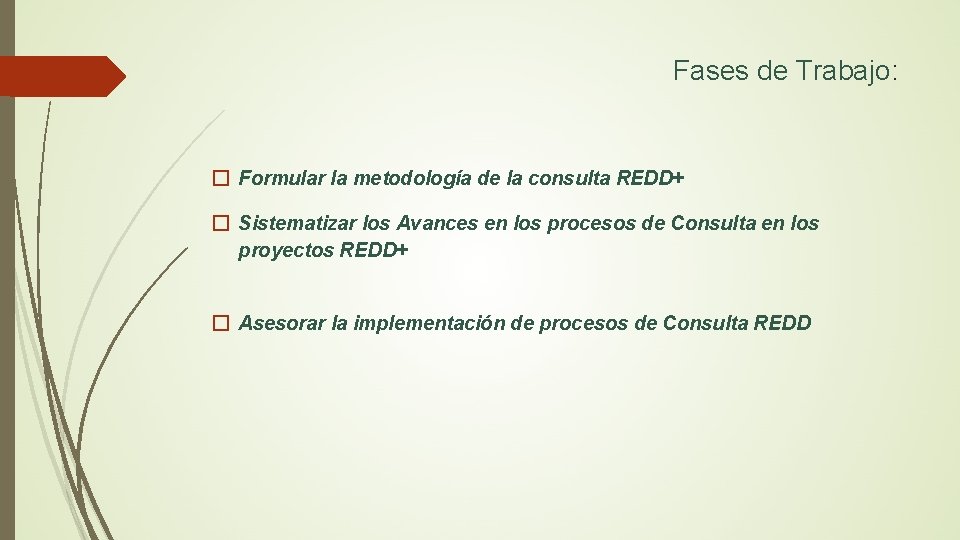 Fases de Trabajo: � Formular la metodología de la consulta REDD+ � Sistematizar los