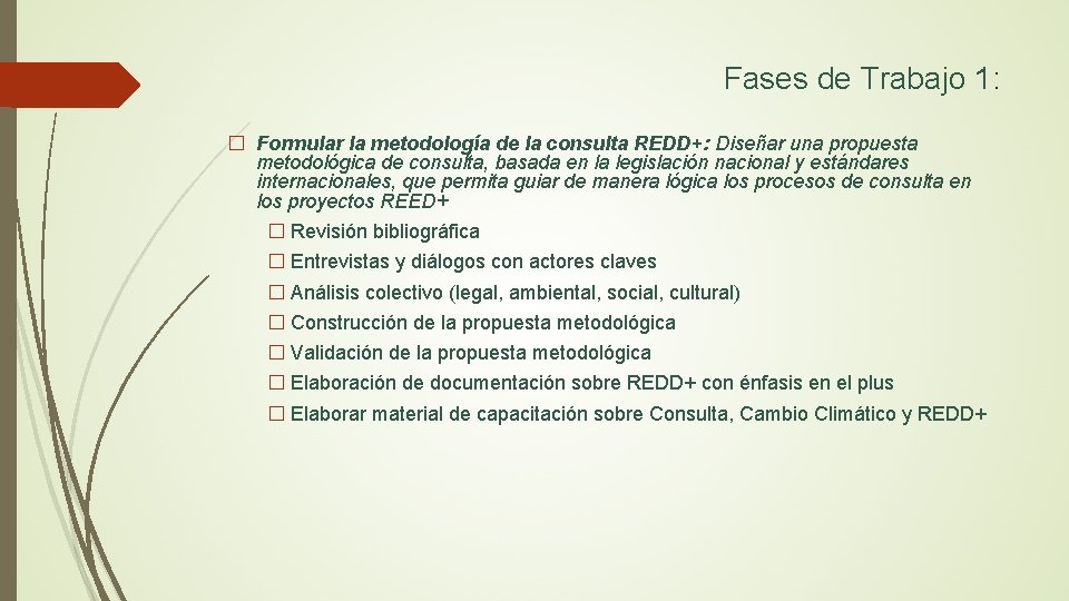 Fases de Trabajo 1: � Formular la metodología de la consulta REDD+: Diseñar una