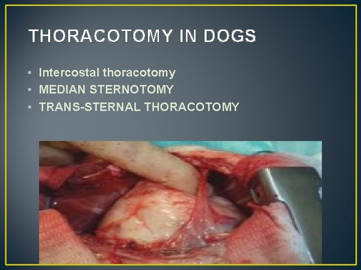 THORACOTOMY IN DOGS • Intercostal thoracotomy • MEDIAN STERNOTOMY • TRANS-STERNAL THORACOTOMY 