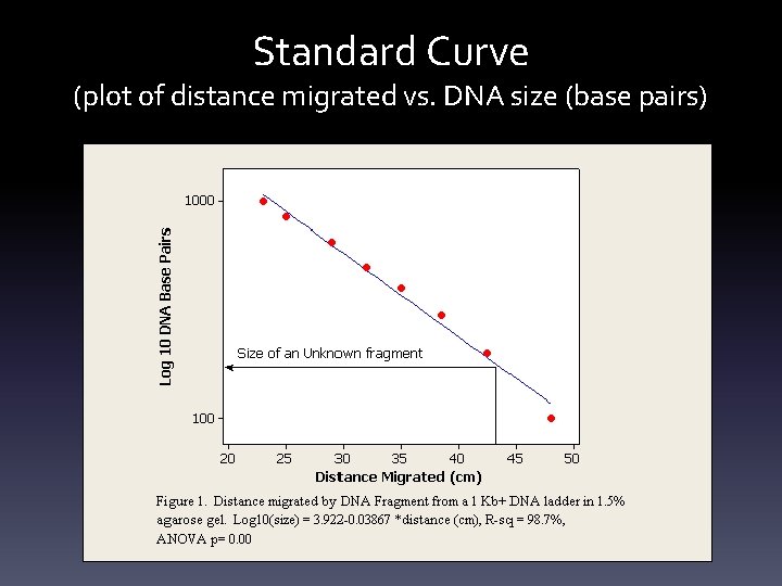 Standard Curve (plot of distance migrated vs. DNA size (base pairs) 