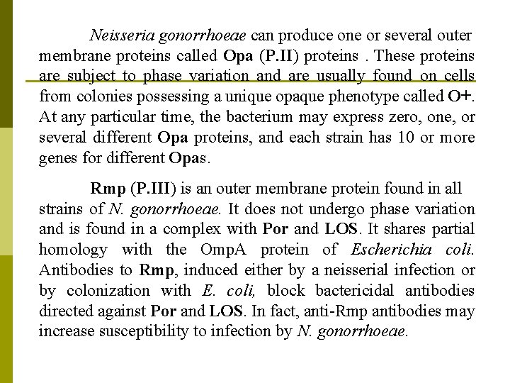 Neisseria gonorrhoeae can produce one or several outer membrane proteins called Opa (P. II)