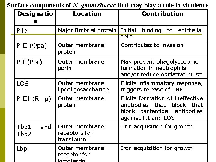 Surface components of N. gonorrhoeae that may play a role in virulence Designatio n