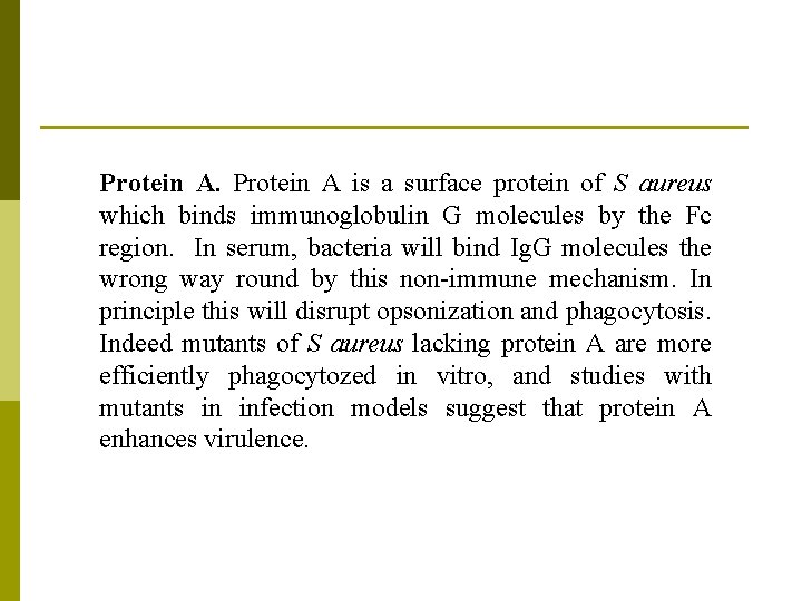 Protein A. Protein A is a surface protein of S aureus which binds immunoglobulin