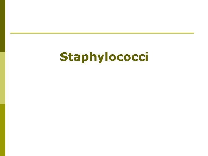 Staphylococci 