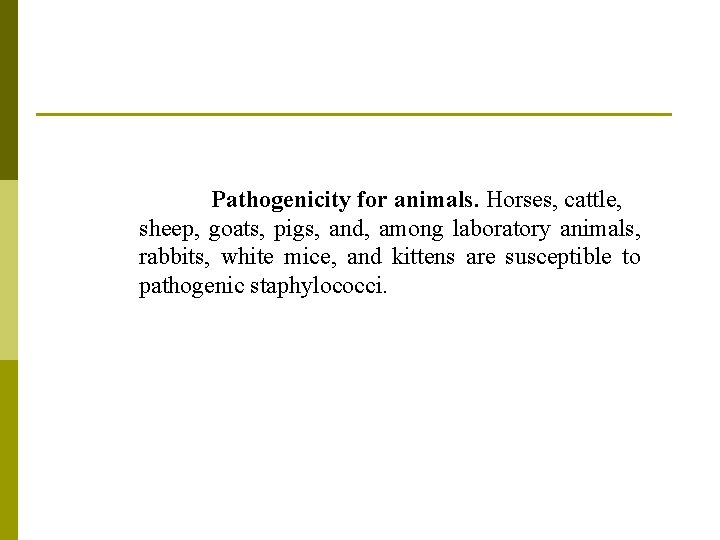 Pathogenicity for animals. Horses, cattle, sheep, goats, pigs, and, among laboratory animals, rabbits, white