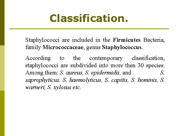 Classification. Staphylococci are included in the Firmicutes Bacteria, family Micrococcaceae, genus Staphylococcus. According to