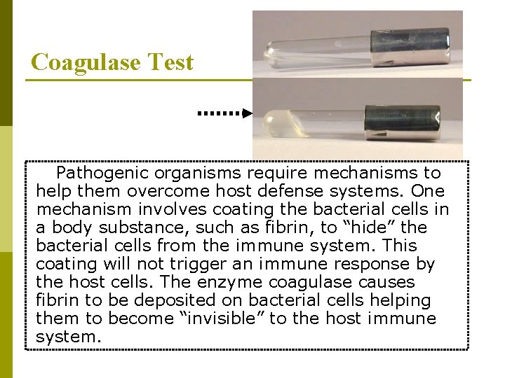 Coagulase Test Pathogenic organisms require mechanisms to help them overcome host defense systems. One