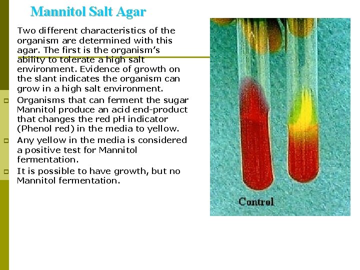 Mannitol Salt Agar p p Two different characteristics of the organism are determined with