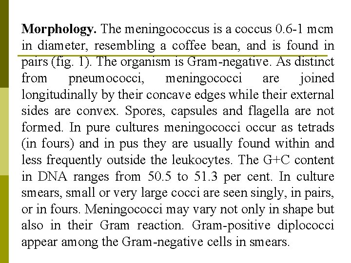 Morphology. The meningococcus is a coccus 0. 6 -1 mcm in diameter, resembling a