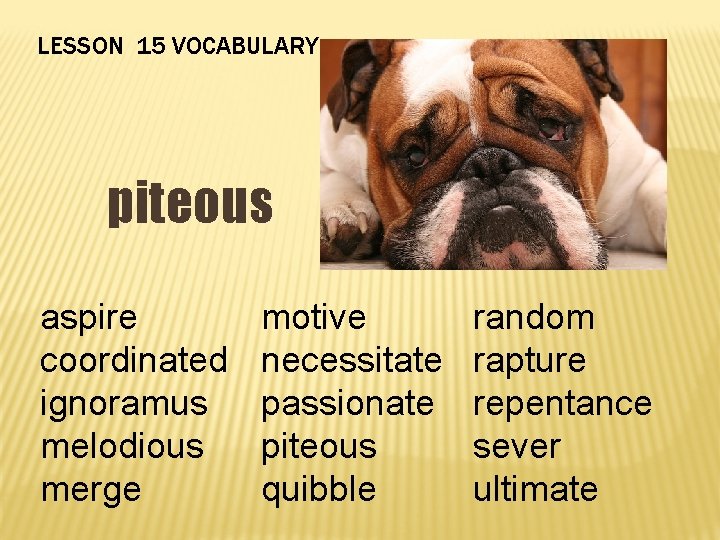 LESSON 15 VOCABULARY piteous aspire coordinated ignoramus melodious merge motive necessitate passionate piteous quibble