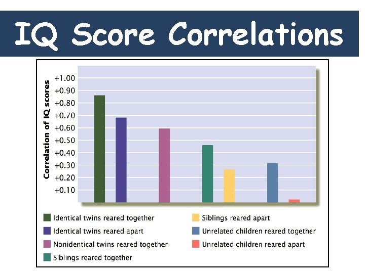 IQ Score Correlations 
