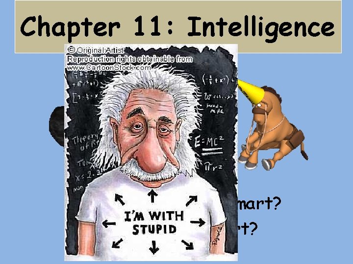 Chapter 11: Intelligence What makes us smart? Or not so smart? 