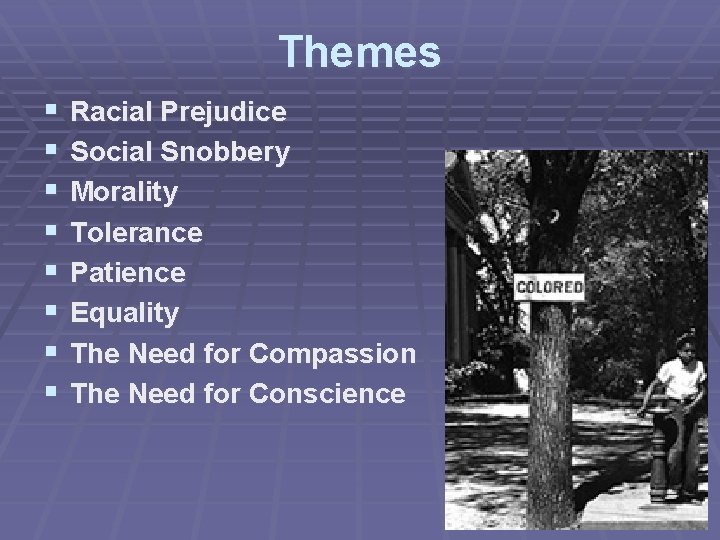 Themes § § § § Racial Prejudice Social Snobbery Morality Tolerance Patience Equality The