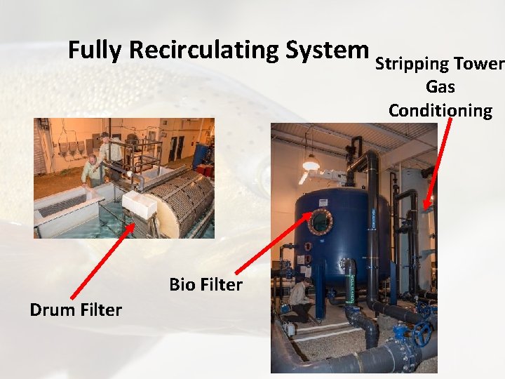 Fully Recirculating System Stripping Tower Gas Conditioning Bio Filter Drum Filter 