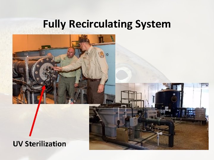 Fully Recirculating System UV Sterilization 