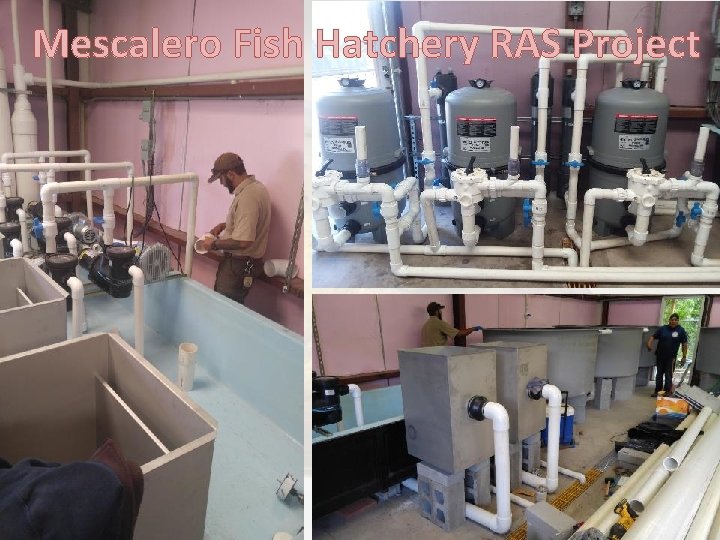 Mescalero Fish Hatchery RAS Project 