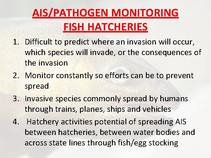 AIS/PATHOGEN MONITORING FISH HATCHERIES 1. Difficult to predict where an invasion will occur, which