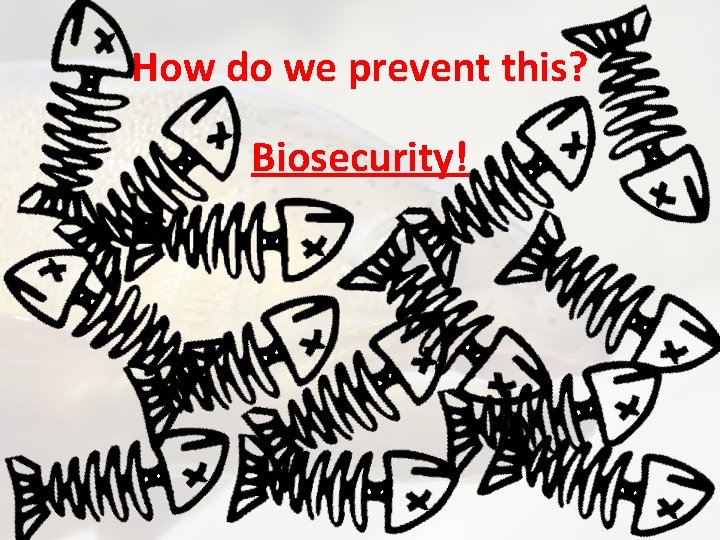 How do we prevent this? Biosecurity! 