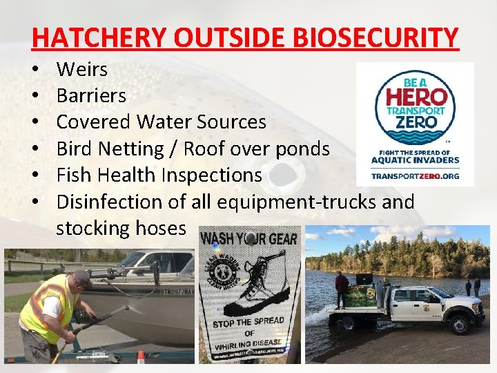 HATCHERY OUTSIDE BIOSECURITY • • • Weirs Barriers Covered Water Sources Bird Netting /