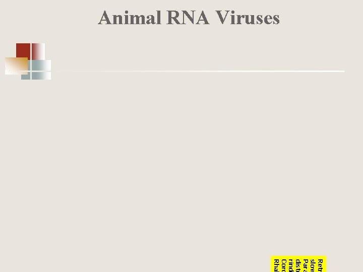 Animal RNA Viruses Retr slow Para diste rinde Coro Rhab 