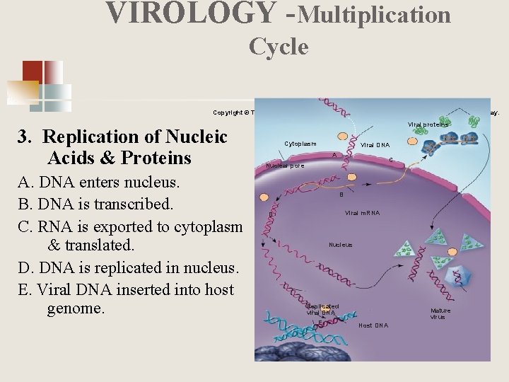 VIROLOGY -Multiplication Cycle Copyright © The Mc. Graw-Hill Companies, Inc. Permission required for reproduction