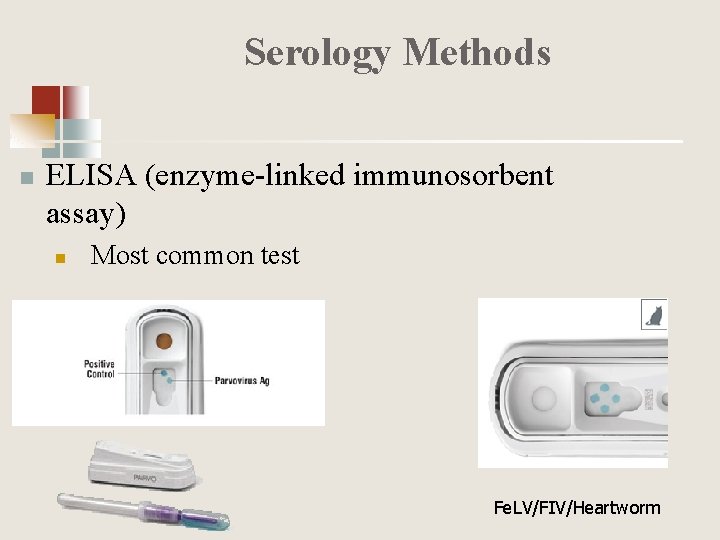 Serology Methods n ELISA (enzyme-linked immunosorbent assay) n Most common test Fe. LV/FIV/Heartworm 