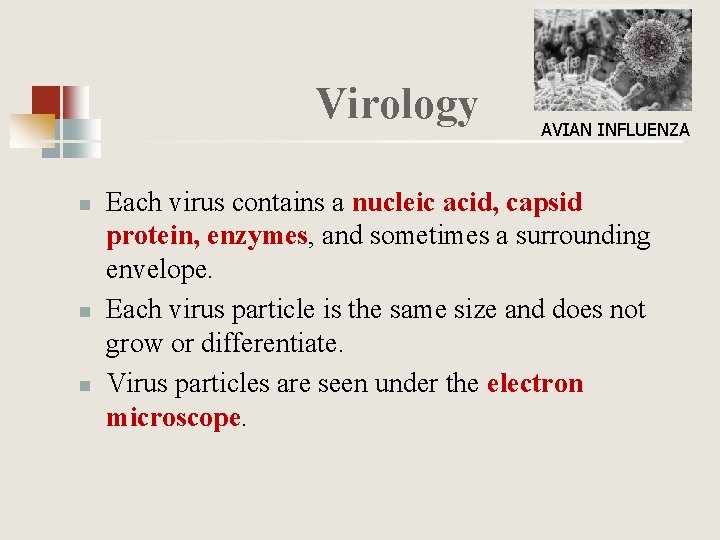 Virology n n n AVIAN INFLUENZA Each virus contains a nucleic acid, capsid protein,