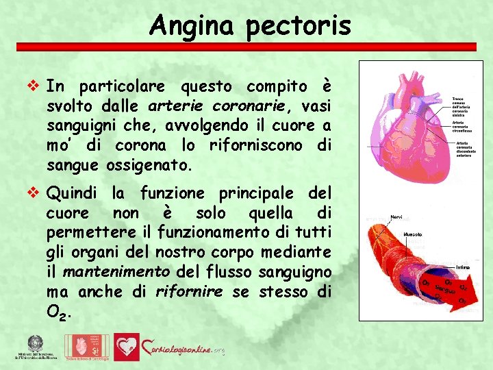 Angina pectoris In particolare questo compito è svolto dalle arterie coronarie, vasi sanguigni che,