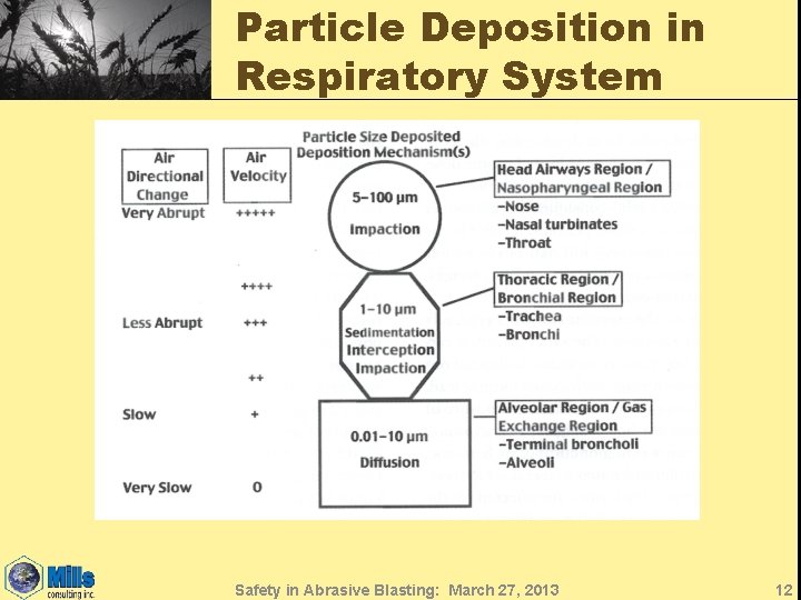 Particle Deposition in Respiratory System Safety in Abrasive Blasting: March 27, 2013 12 