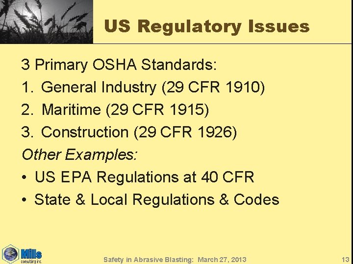 US Regulatory Issues 3 Primary OSHA Standards: 1. General Industry (29 CFR 1910) 2.