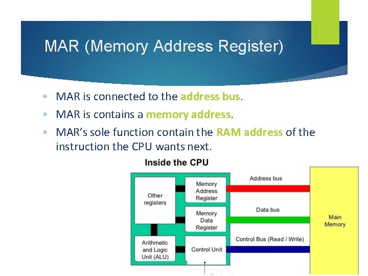 MAR (Memory Address Register) • MAR is connected to the address bus. • MAR