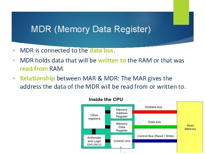MDR (Memory Data Register) • MDR is connected to the data bus. • MDR