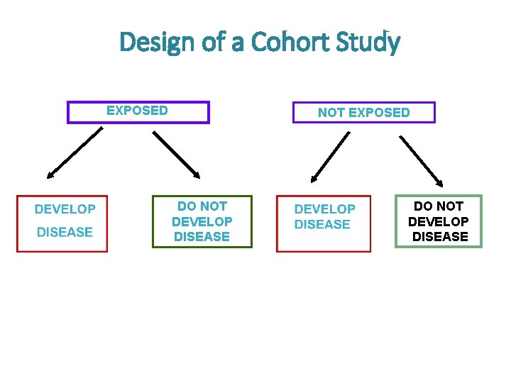 Design of a Cohort Study EXPOSED NOT EXPOSED DO NOT DEVELOP DISEASE 
