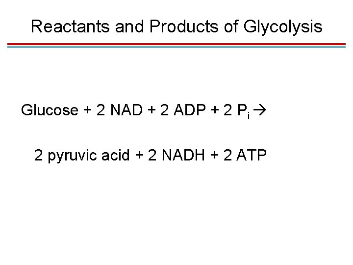 Reactants and Products of Glycolysis Glucose + 2 NAD + 2 ADP + 2