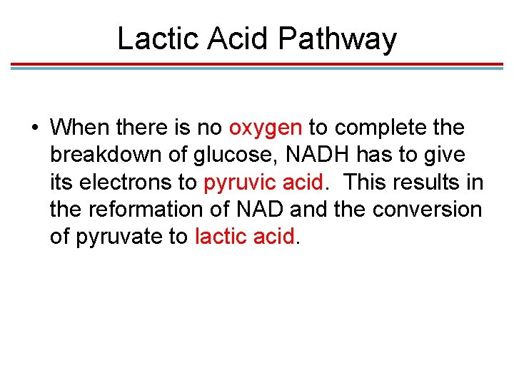 Lactic Acid Pathway • When there is no oxygen to complete the breakdown of