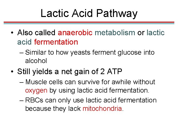 Lactic Acid Pathway • Also called anaerobic metabolism or lactic acid fermentation – Similar