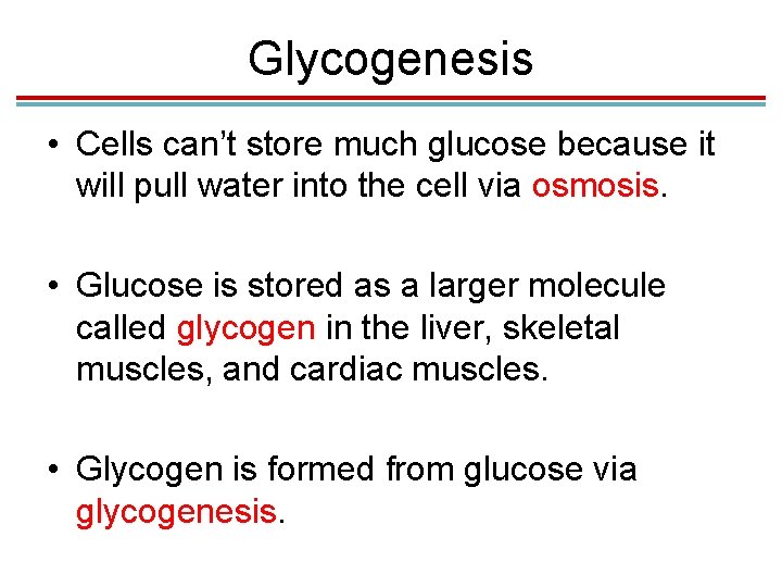 Glycogenesis • Cells can’t store much glucose because it will pull water into the