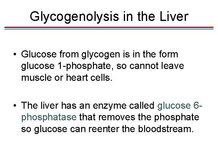 Glycogenolysis in the Liver • Glucose from glycogen is in the form glucose 1