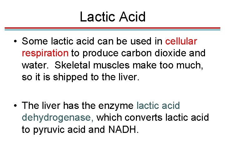 Lactic Acid • Some lactic acid can be used in cellular respiration to produce