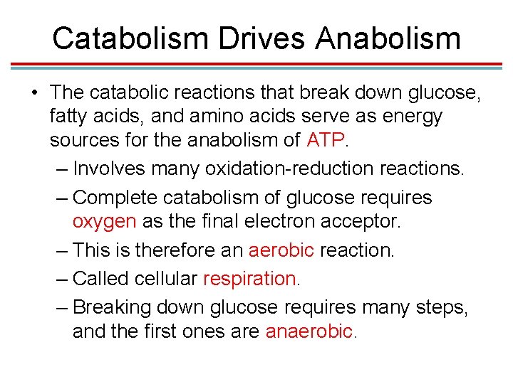 Catabolism Drives Anabolism • The catabolic reactions that break down glucose, fatty acids, and