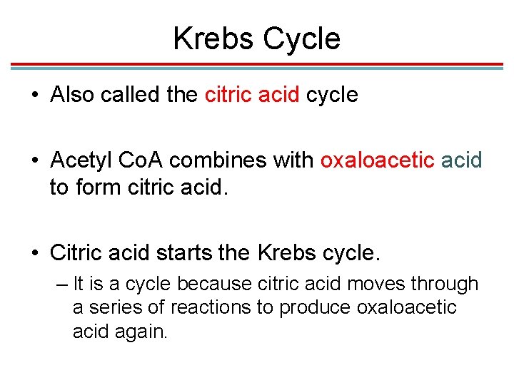 Krebs Cycle • Also called the citric acid cycle • Acetyl Co. A combines