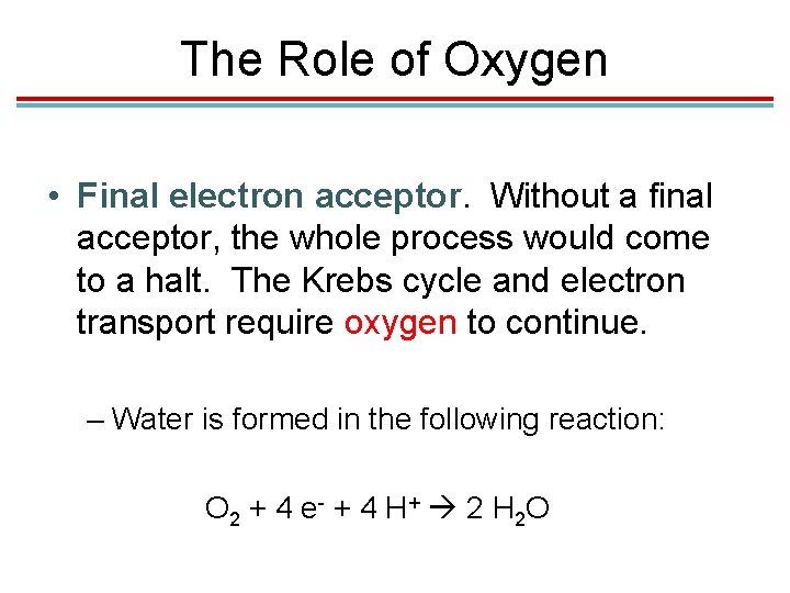 The Role of Oxygen • Final electron acceptor. Without a final acceptor, the whole