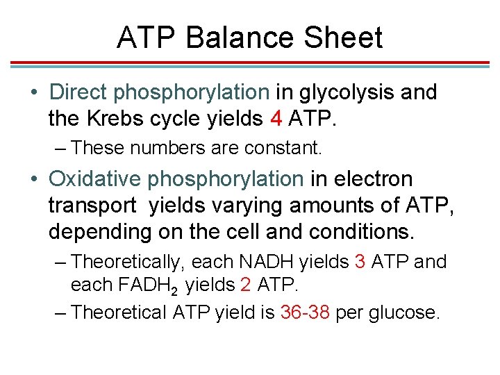 ATP Balance Sheet • Direct phosphorylation in glycolysis and the Krebs cycle yields 4