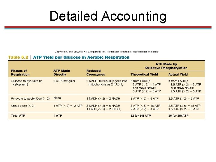 Detailed Accounting 