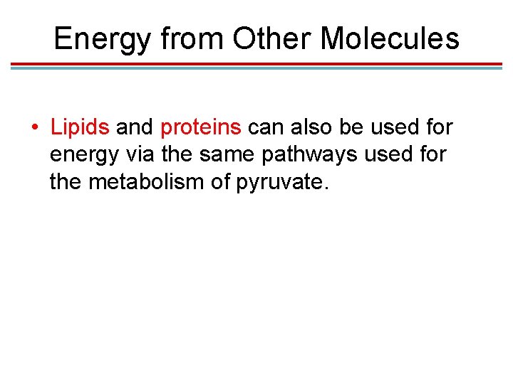 Energy from Other Molecules • Lipids and proteins can also be used for energy