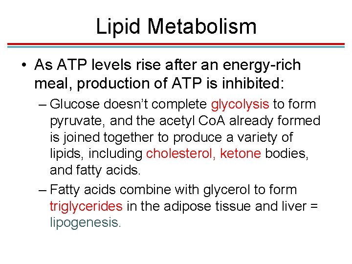 Lipid Metabolism • As ATP levels rise after an energy-rich meal, production of ATP