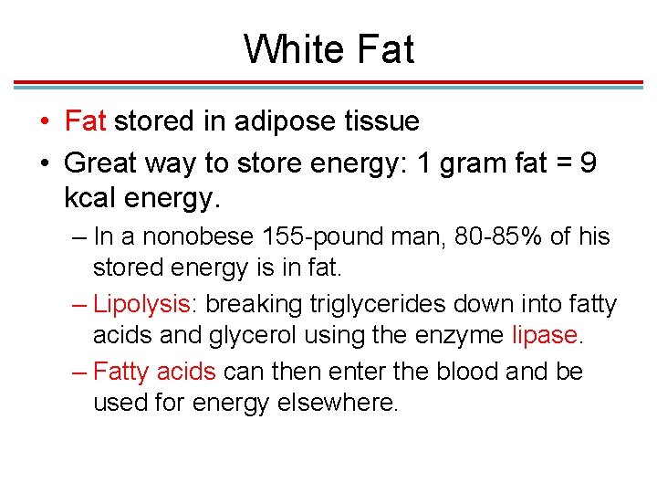 White Fat • Fat stored in adipose tissue • Great way to store energy: