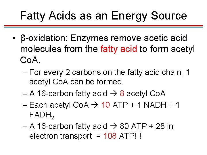 Fatty Acids as an Energy Source • β-oxidation: Enzymes remove acetic acid molecules from