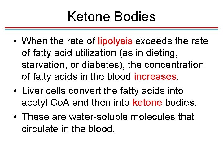 Ketone Bodies • When the rate of lipolysis exceeds the rate of fatty acid
