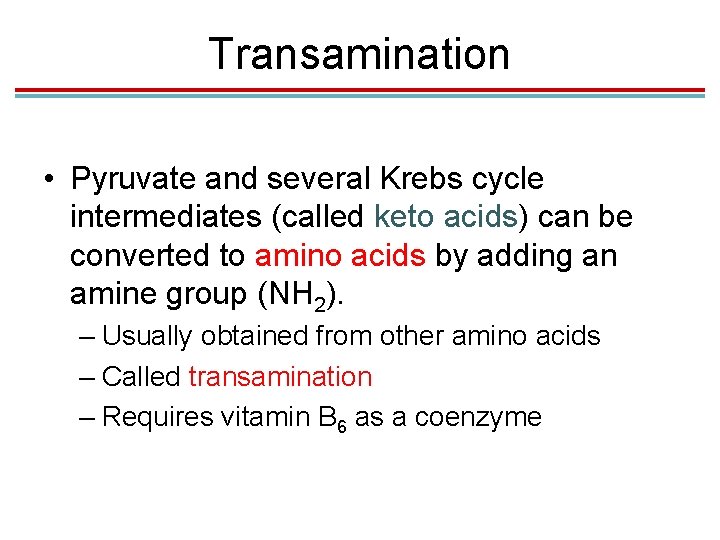 Transamination • Pyruvate and several Krebs cycle intermediates (called keto acids) can be converted